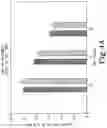 Fig. 06 - BENZOQUINONE DERIVATIVE E3330 IN COMBINATION WITH CHEMOTHERAPEUTIC AGENTS FOR THE TREATMENT OF CANCER AND ANGIOGENESIS