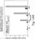 Fig. 19 - BENZOQUINONE DERIVATIVE E3330 IN COMBINATION WITH CHEMOTHERAPEUTIC AGENTS FOR THE TREATMENT OF CANCER AND ANGIOGENESIS