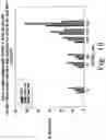 Fig. 21 - BENZOQUINONE DERIVATIVE E3330 IN COMBINATION WITH CHEMOTHERAPEUTIC AGENTS FOR THE TREATMENT OF CANCER AND ANGIOGENESIS