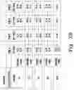 Fig. 25 - BENZOQUINONE DERIVATIVE E3330 IN COMBINATION WITH CHEMOTHERAPEUTIC AGENTS FOR THE TREATMENT OF CANCER AND ANGIOGENESIS