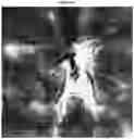 Fig. 06 - COMPOSITIONS OF FULVIC ACID AND CANNABINOID AND USES THEREOF