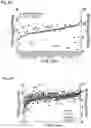 Fig. 08 - COMPOSITIONS AND METHODS FOR TREATING NEUROBLASTOMA