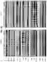 Fig. 05 - Methods of treating HIV-associated neurological disorders (HAND)