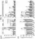 Fig. 06 - Methods of treating HIV-associated neurological disorders (HAND)