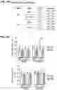 Fig. 08 - Methods of treating HIV-associated neurological disorders (HAND)
