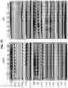 Fig. 10 - Methods of treating HIV-associated neurological disorders (HAND)