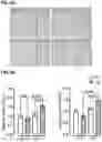 Fig. 27 - Methods of treating HIV-associated neurological disorders (HAND)