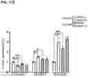 Fig. 37 - Methods of treating HIV-associated neurological disorders (HAND)
