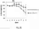 Fig. 22 - METHODS OF TREATING INFLAMMATORY BOWEL DISEASE WITH AMD3100 AND TACROLIMUS