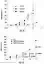 Fig. 09 - HISTONE DEACETYLASE AS A MODULATOR OF PDLI EXPRESSION AND ACTIVITY