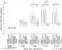 Fig. 01 - PHARMACEUTICAL COMPOSITION FOR TREATING AORTIC ANEURYSM