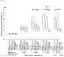 Fig. 02 - PHARMACEUTICAL COMPOSITION FOR TREATING AORTIC ANEURYSM