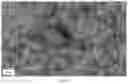 Fig. 02 - PROCESS FOR PREPARING SPHERICAL AGGLOMERATES OF TIMAPIPRANT