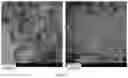 Fig. 03 - PROCESS FOR PREPARING SPHERICAL AGGLOMERATES OF TIMAPIPRANT