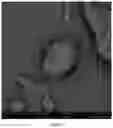 Fig. 08 - PROCESS FOR PREPARING SPHERICAL AGGLOMERATES OF TIMAPIPRANT