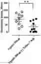 Fig. 01 - PHARMACEUTICAL COMPOSITION CONTAINING HDAC6 INHIBITOR AS ACTIVE INGREDIENT FOR PREVENTION OR TREATMENT OF ITCHING