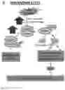 Fig. 03 - METHODS AND COMPOSITIONS RELATING TO TREATMENT OF CANCER