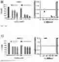 Fig. 06 - METHODS AND COMPOSITIONS RELATING TO TREATMENT OF CANCER