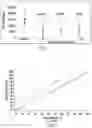 Fig. 02 - COMPOSITIONS AND METHODS FOR TREATING AGE-RELATED MACULAR DEGENERATION