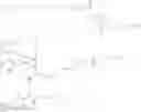 Fig. 129 - SILANOL BASED THERAPEUTIC PAYLOADS