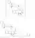 Fig. 158 - SILANOL BASED THERAPEUTIC PAYLOADS