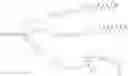 Fig. 248 - SILANOL BASED THERAPEUTIC PAYLOADS