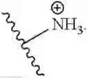 Fig. 26 - LIPOSOMAL FORMULATIONS, AND METHODS OF USING AND PREPARING THEREOF