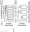 Fig. 07 - COMPOSITIONS AND METHODS FOR THE TREATMENT OF ABERRANT ANGIOGENESIS