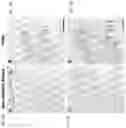 Fig. 09 - COMPOSITIONS AND METHODS FOR THE TREATMENT OF ABERRANT ANGIOGENESIS