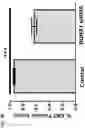 Fig. 16 - COMPOSITIONS AND METHODS FOR THE TREATMENT OF ABERRANT ANGIOGENESIS