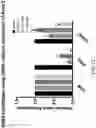 Fig. 22 - COMPOSITIONS AND METHODS FOR THE TREATMENT OF ABERRANT ANGIOGENESIS