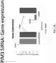Fig. 25 - COMPOSITIONS AND METHODS FOR THE TREATMENT OF ABERRANT ANGIOGENESIS