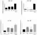 Fig. 06 - METHODS FOR MODULATING CHEMOTHERAPEUTIC CYTOTOXICITY