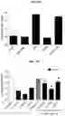 Fig. 10 - METHODS FOR MODULATING CHEMOTHERAPEUTIC CYTOTOXICITY
