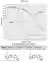 Fig. 15 - METHODS FOR MODULATING CHEMOTHERAPEUTIC CYTOTOXICITY