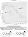Fig. 17 - METHODS FOR MODULATING CHEMOTHERAPEUTIC CYTOTOXICITY