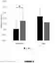 Fig. 14 - MEDICAL AND NUTRITIONAL COMPOSITIONS AND METHODS OF USE