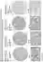 Fig. 100 - ANTI-VARIABLE MUC1* ANTIBODIES AND USES THEREOF