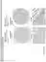 Fig. 101 - ANTI-VARIABLE MUC1* ANTIBODIES AND USES THEREOF