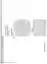 Fig. 102 - ANTI-VARIABLE MUC1* ANTIBODIES AND USES THEREOF