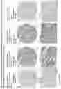 Fig. 103 - ANTI-VARIABLE MUC1* ANTIBODIES AND USES THEREOF