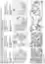 Fig. 118 - ANTI-VARIABLE MUC1* ANTIBODIES AND USES THEREOF