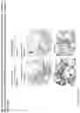 Fig. 122 - ANTI-VARIABLE MUC1* ANTIBODIES AND USES THEREOF