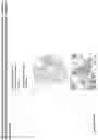 Fig. 123 - ANTI-VARIABLE MUC1* ANTIBODIES AND USES THEREOF