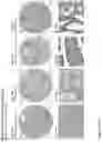 Fig. 125 - ANTI-VARIABLE MUC1* ANTIBODIES AND USES THEREOF