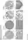 Fig. 126 - ANTI-VARIABLE MUC1* ANTIBODIES AND USES THEREOF