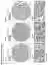Fig. 141 - ANTI-VARIABLE MUC1* ANTIBODIES AND USES THEREOF