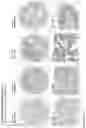 Fig. 152 - ANTI-VARIABLE MUC1* ANTIBODIES AND USES THEREOF