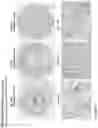 Fig. 157 - ANTI-VARIABLE MUC1* ANTIBODIES AND USES THEREOF