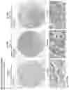 Fig. 187 - ANTI-VARIABLE MUC1* ANTIBODIES AND USES THEREOF